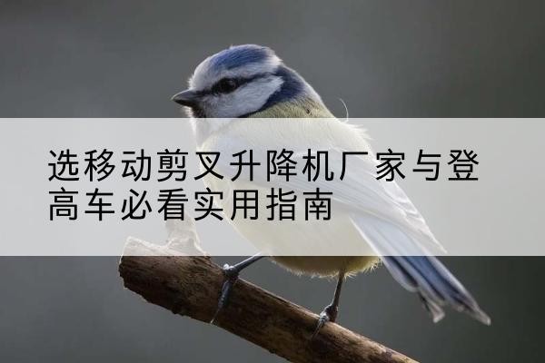 颍上电动升降机厂家-选移动剪叉升降机厂家与登高车必看实用指南
