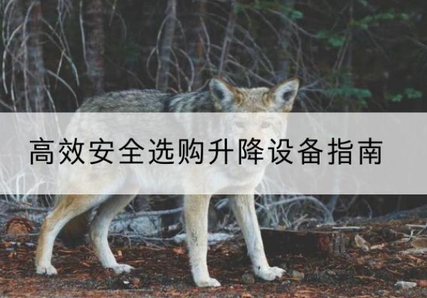 颍上升降货梯厂家推荐-*安全选购升降设备指南