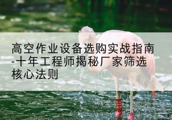颍上剪叉式升降机厂家-高空作业设备选购实战指南-十年工程师揭秘厂家筛选核心法则