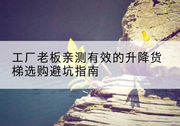 颍上升降货梯怎么选-工厂老板亲测有效的升降货梯选购避坑指南